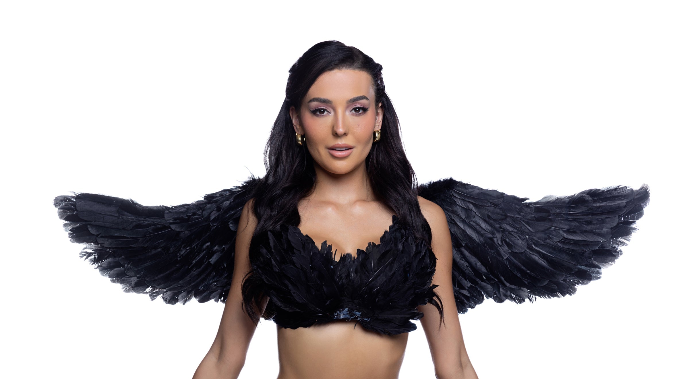 6843 - Wings