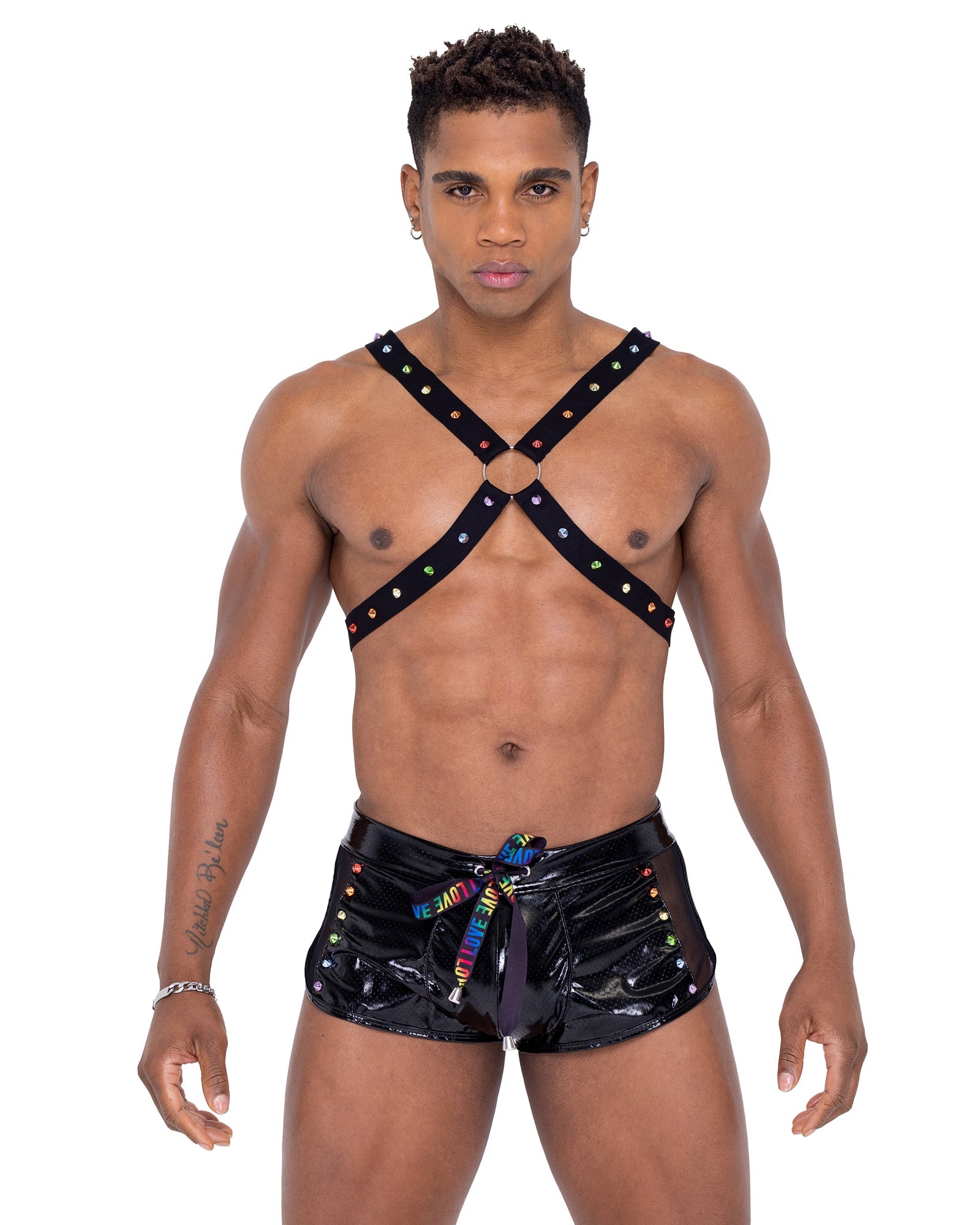 6337 - Mens Pride Harness