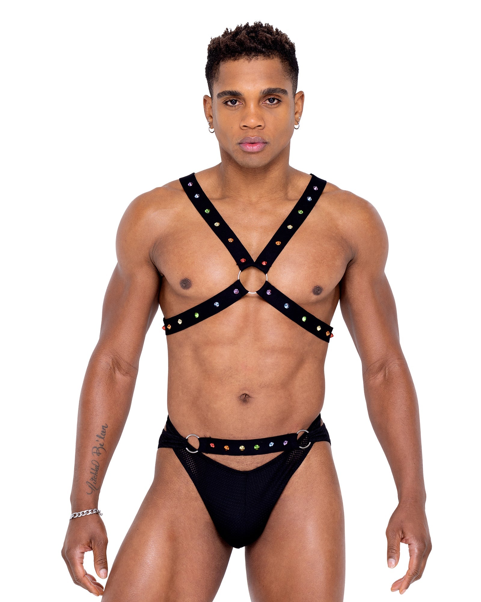 6337 - Mens Pride Harness